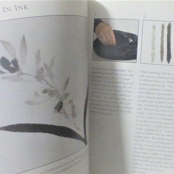MC2 - 1st Ed. All Introduction To CHINESE BRUSH PAINTING Danny Han-Lin Chen - Picture 5 of 8